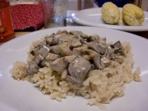 CIMG1972 Mushroom Stroganoff
