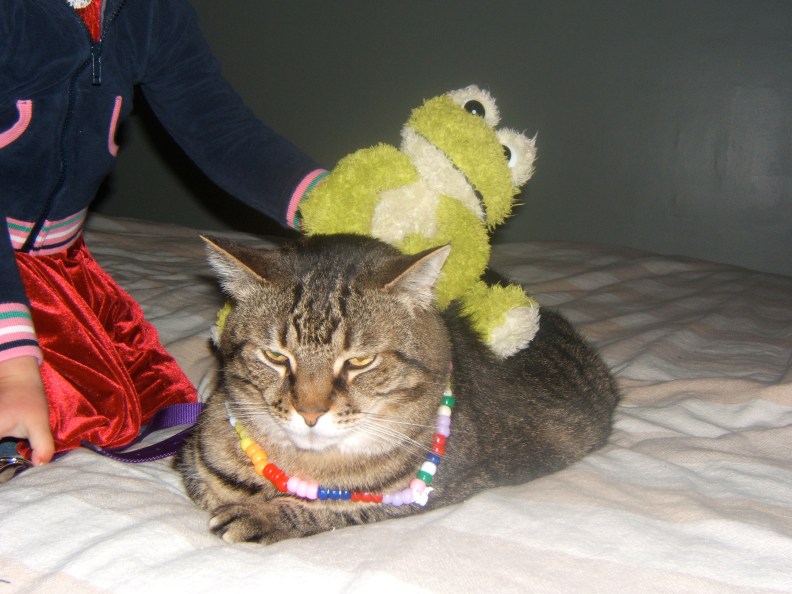 Not a fan of having a three-year-old to play with, 2008.