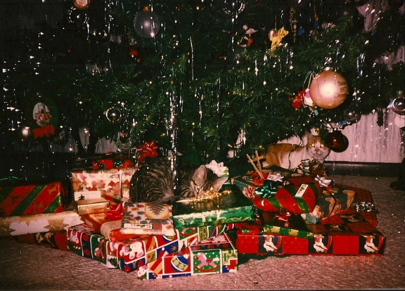 3 months old, Christmas 1996 (with ginger cat Henry in the background)