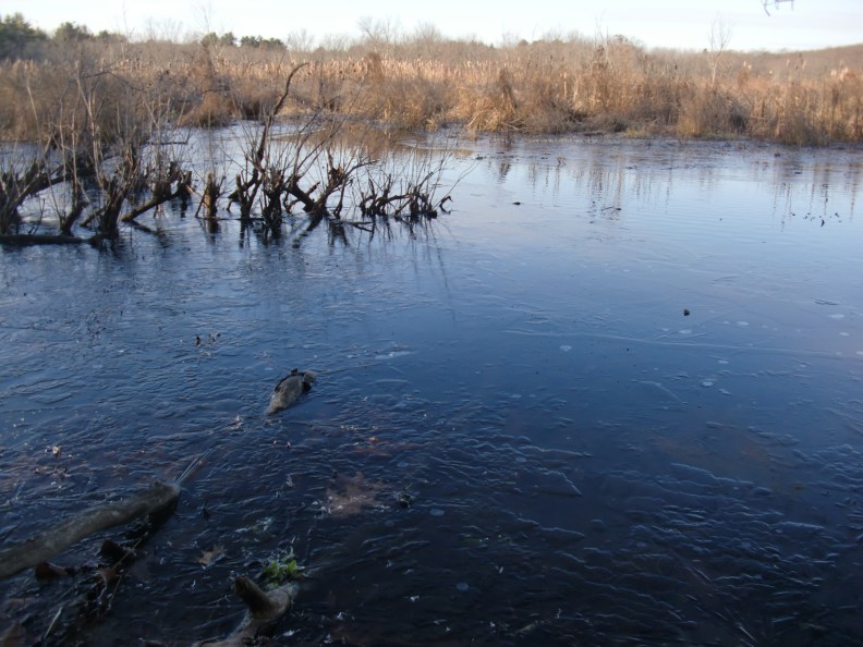 In the upper middle, you can see the edge of the ice where the river flows.