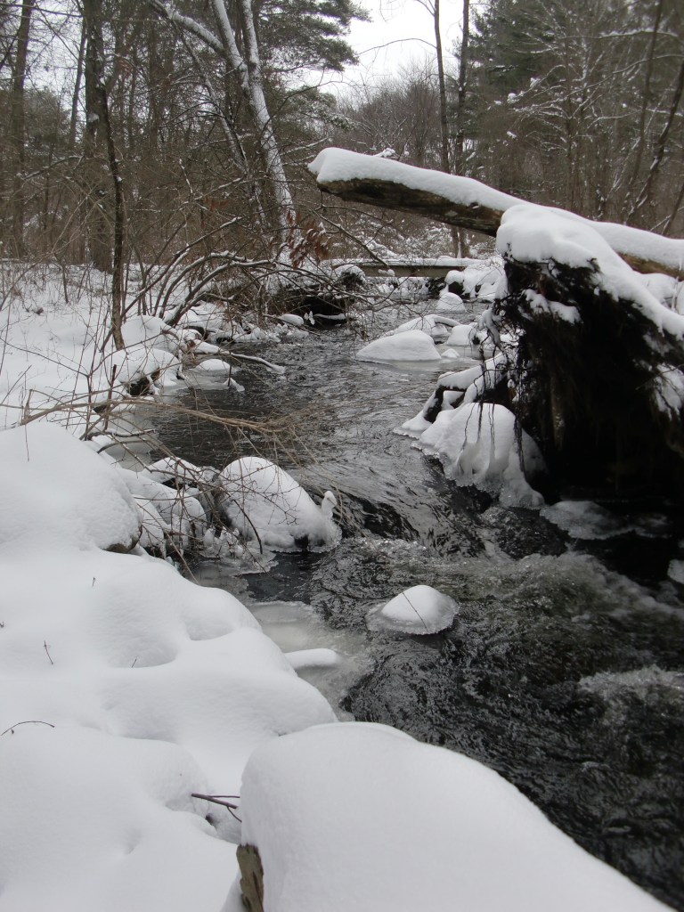 Snowy creek