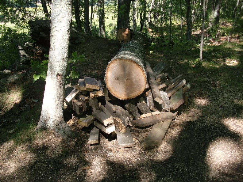 What's left of the picnic table and the tree that fell on it.