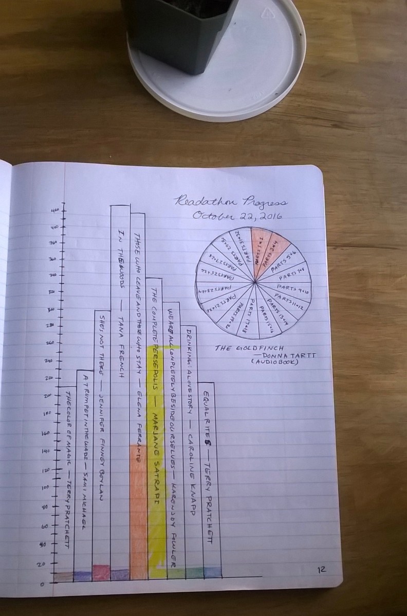 wp_20161023_08_43_27_pro