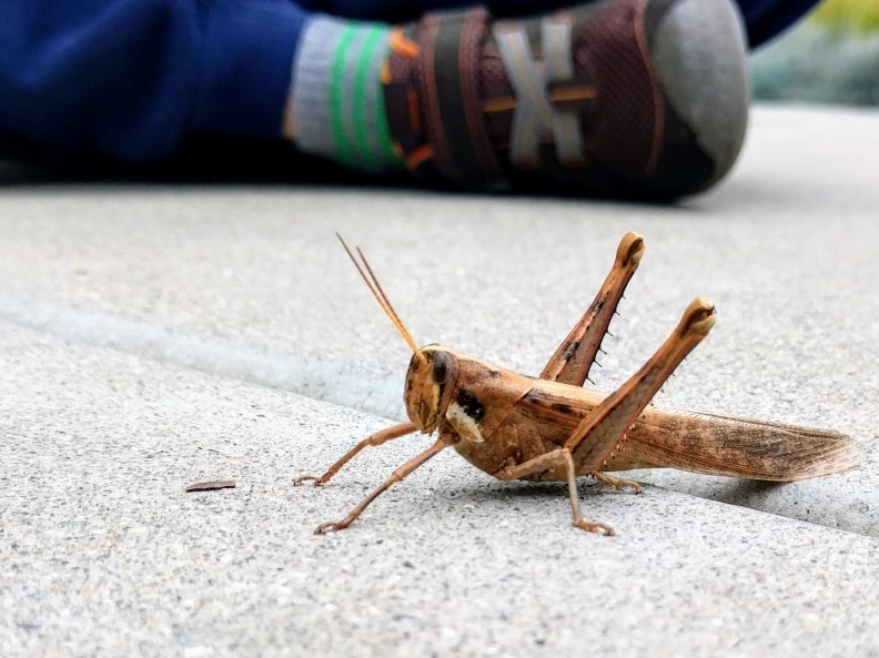 IMG_20180212_125557 (1)