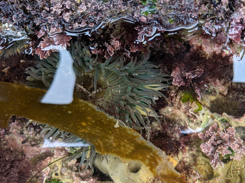 Maker:S,Date:2017-11-28,Ver:6,Lens:Kan03,Act:Lar02,E-Y