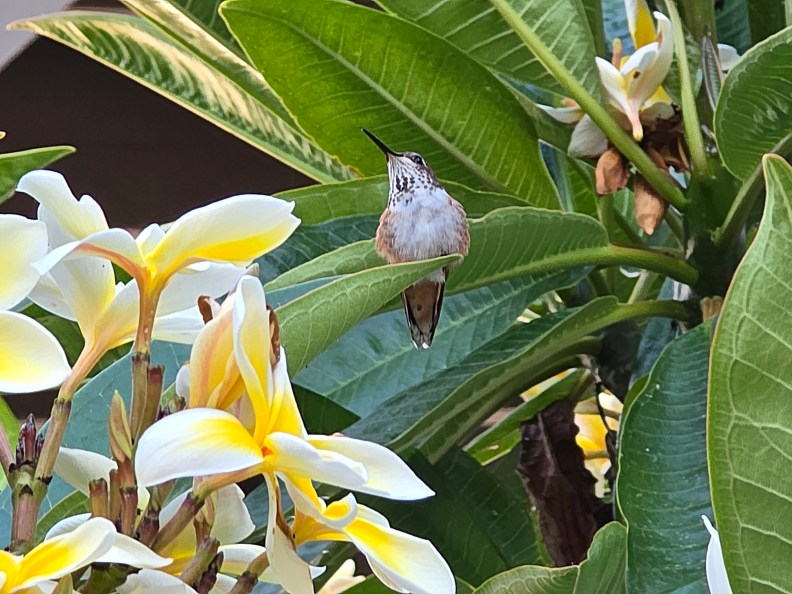 Emotional Labor by Rose Hackman, and My Most Popular Post