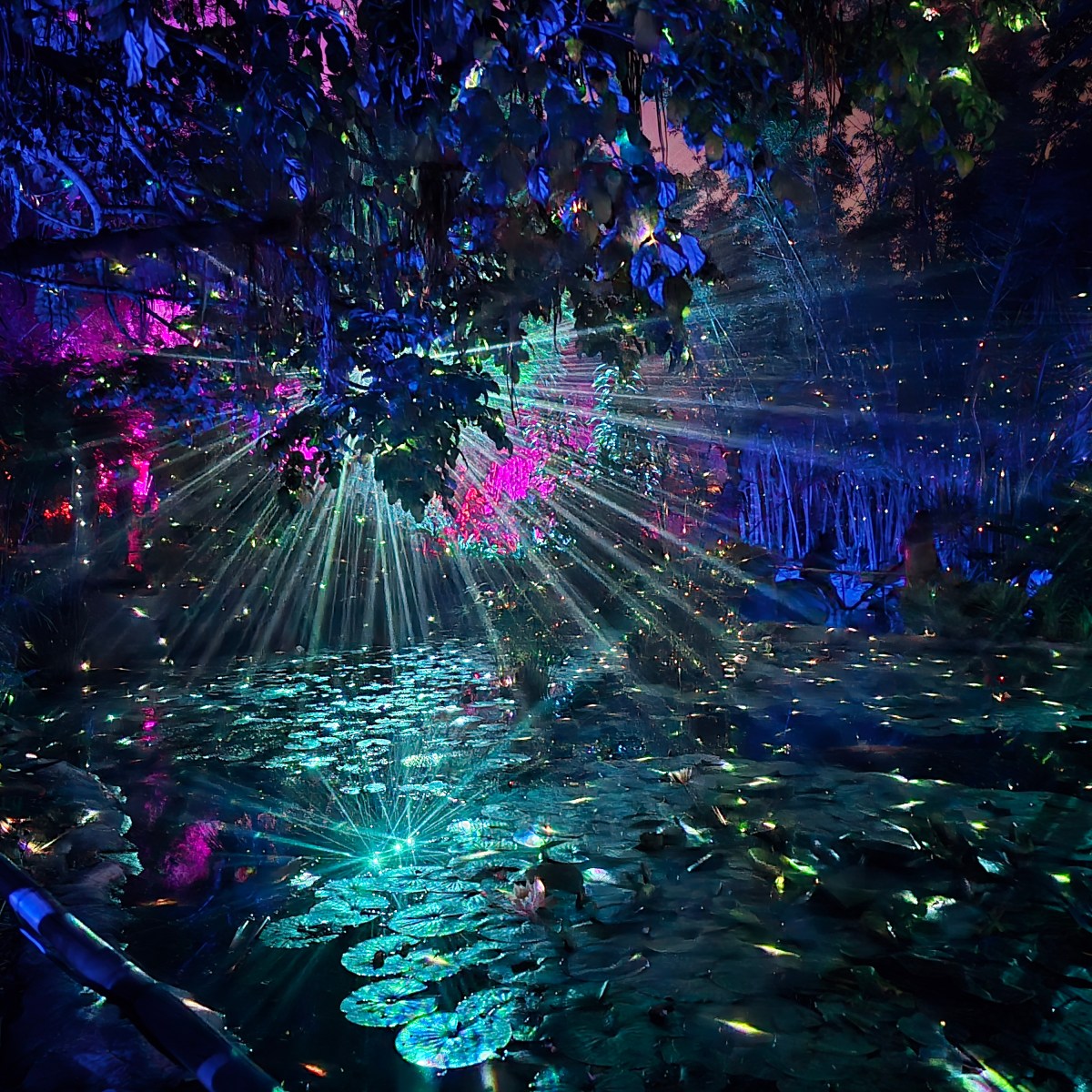 Bookends: November 2025