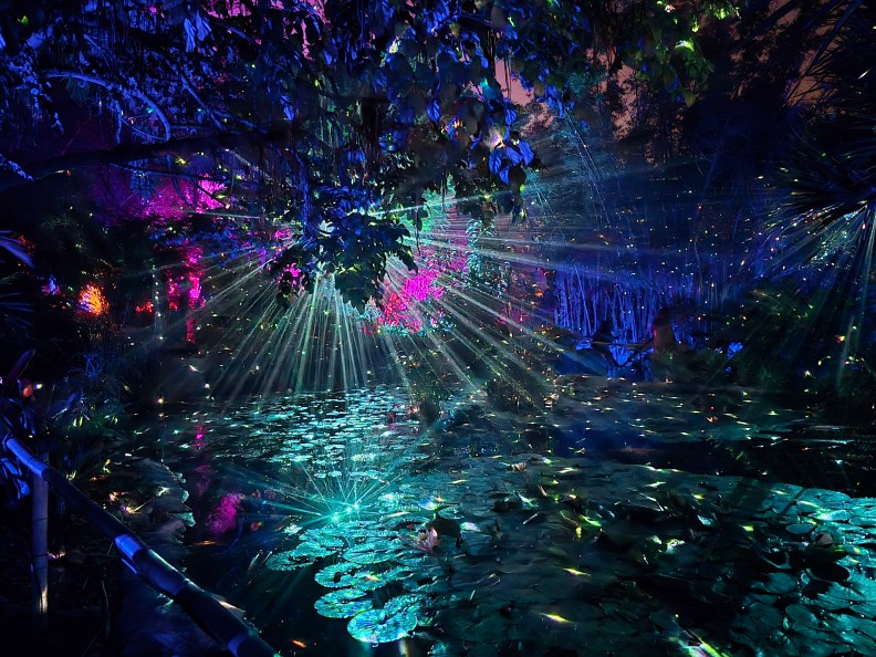 Bookends: November 2025