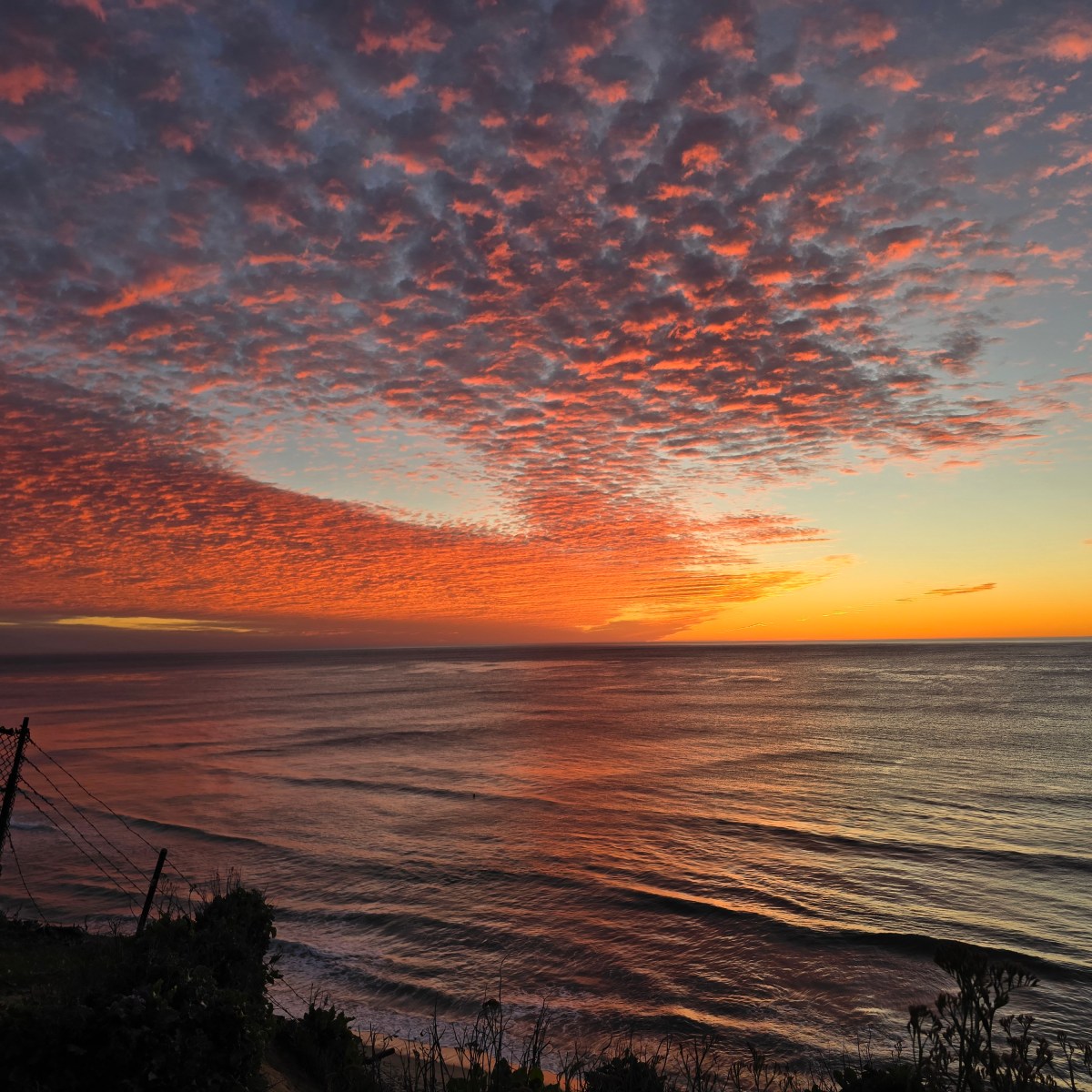 2025: My Year in Books