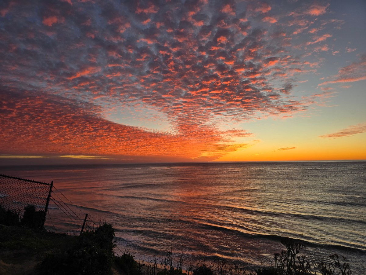 2025: My Year in Books