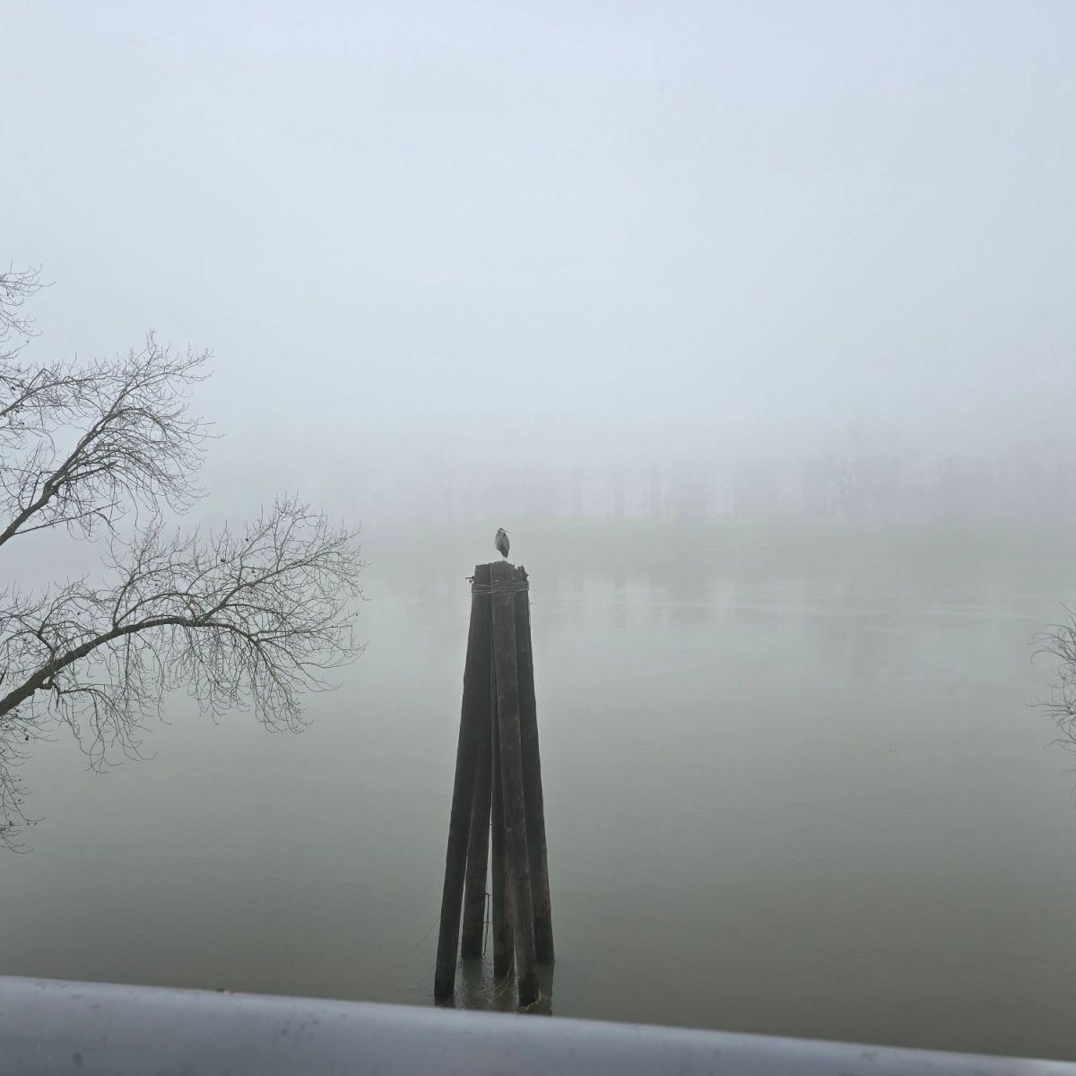 Bookends: January 2026