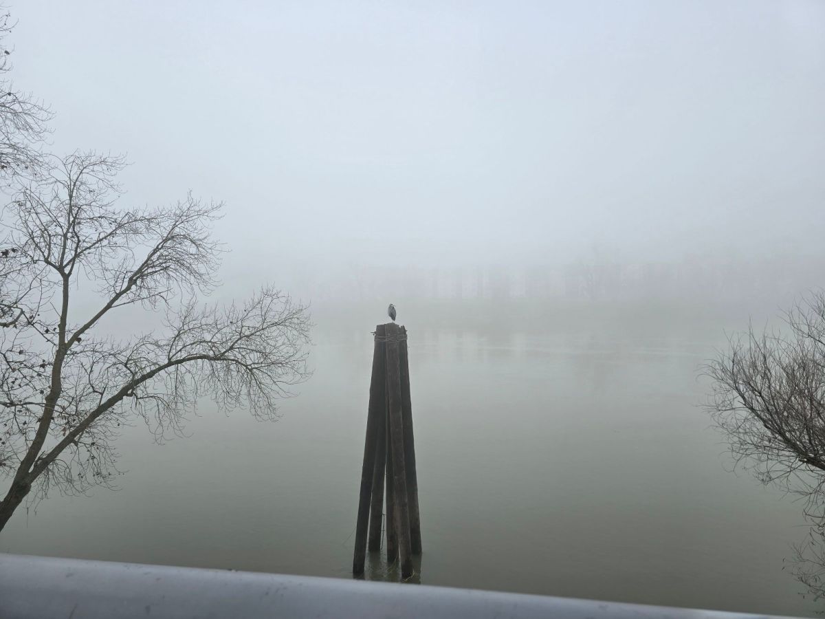 Bookends: January 2026