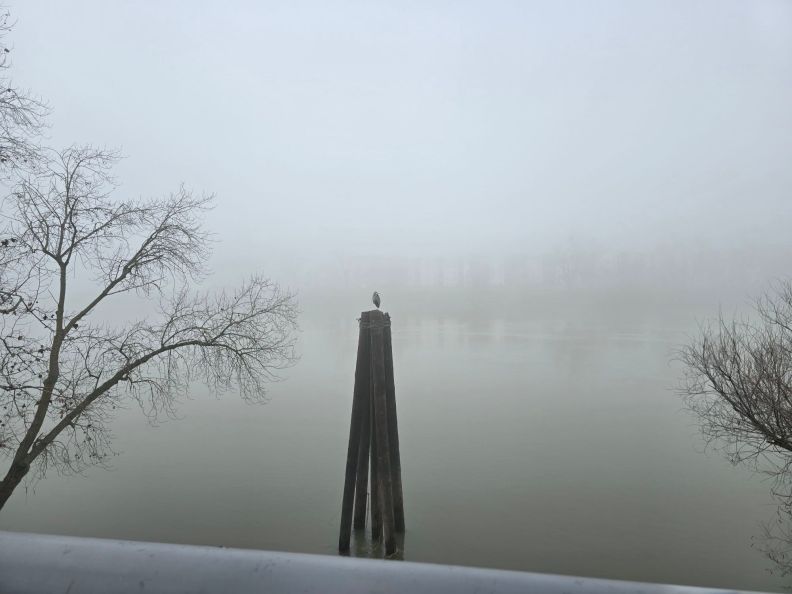 Bookends: January 2026