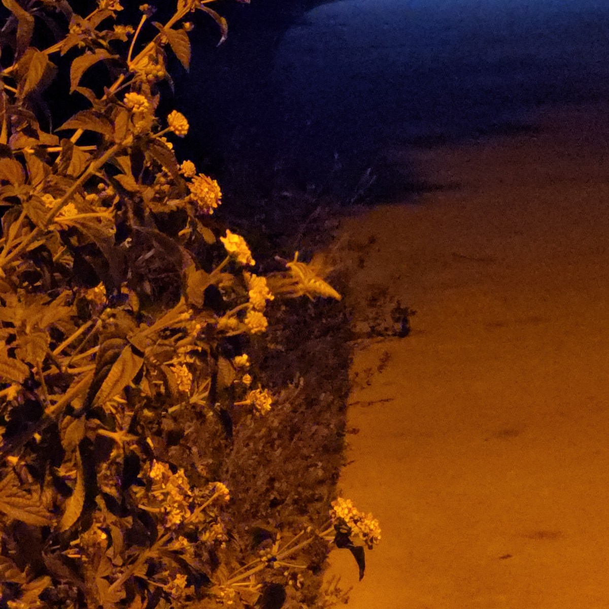 Bookends: February 2026