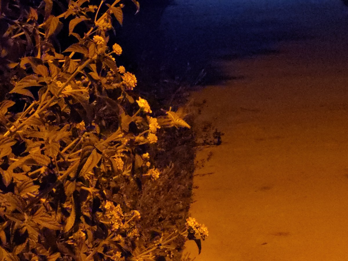 Bookends: February 2026