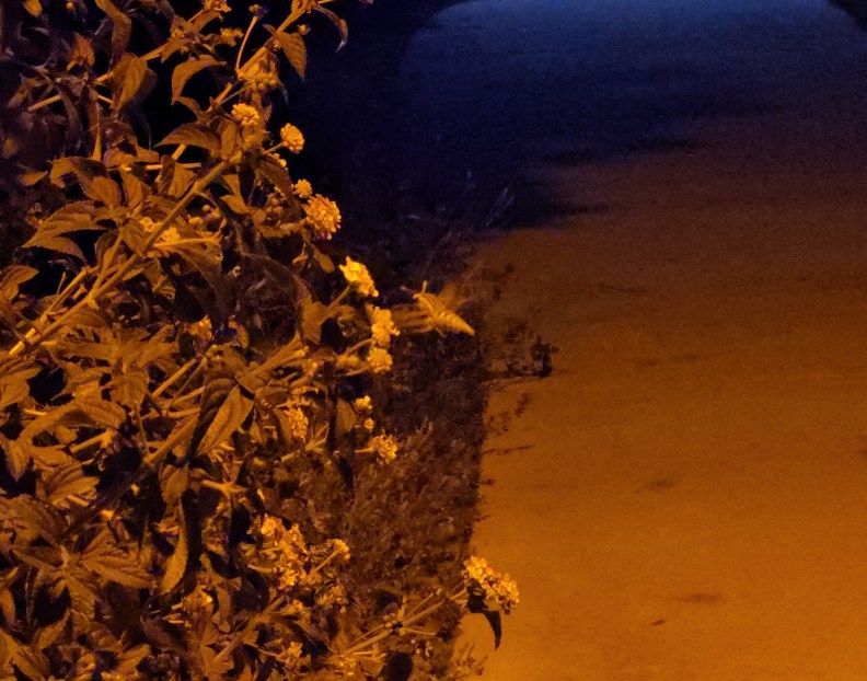 Bookends: February 2026